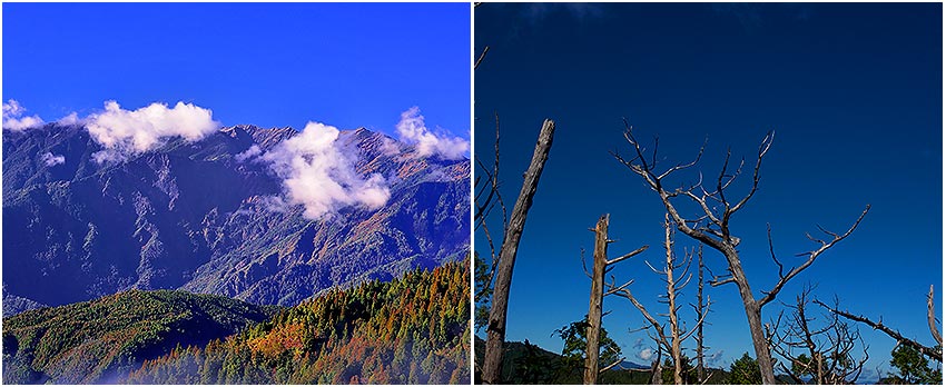 太平山森林遊樂園區